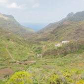 Tenerife28